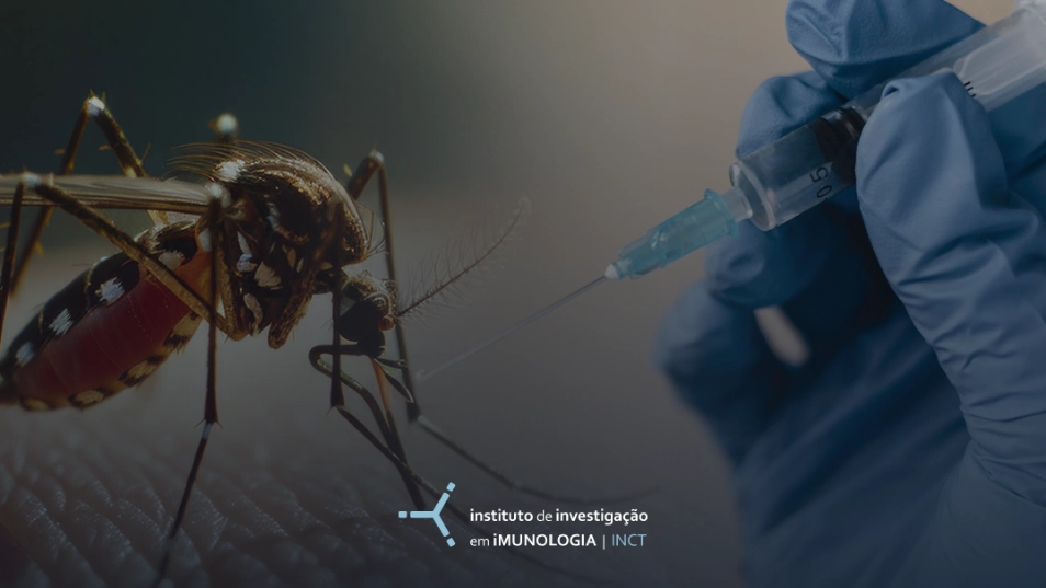 Dengue: Como nasce uma Vacina